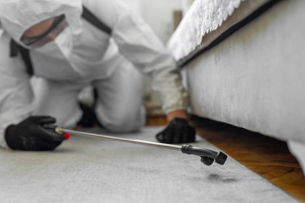Professional Termite Control technician working in Roselawn, IN