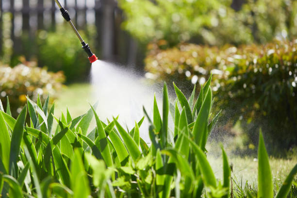 24/7 Emergency Termite Control experts in Roselawn, IN